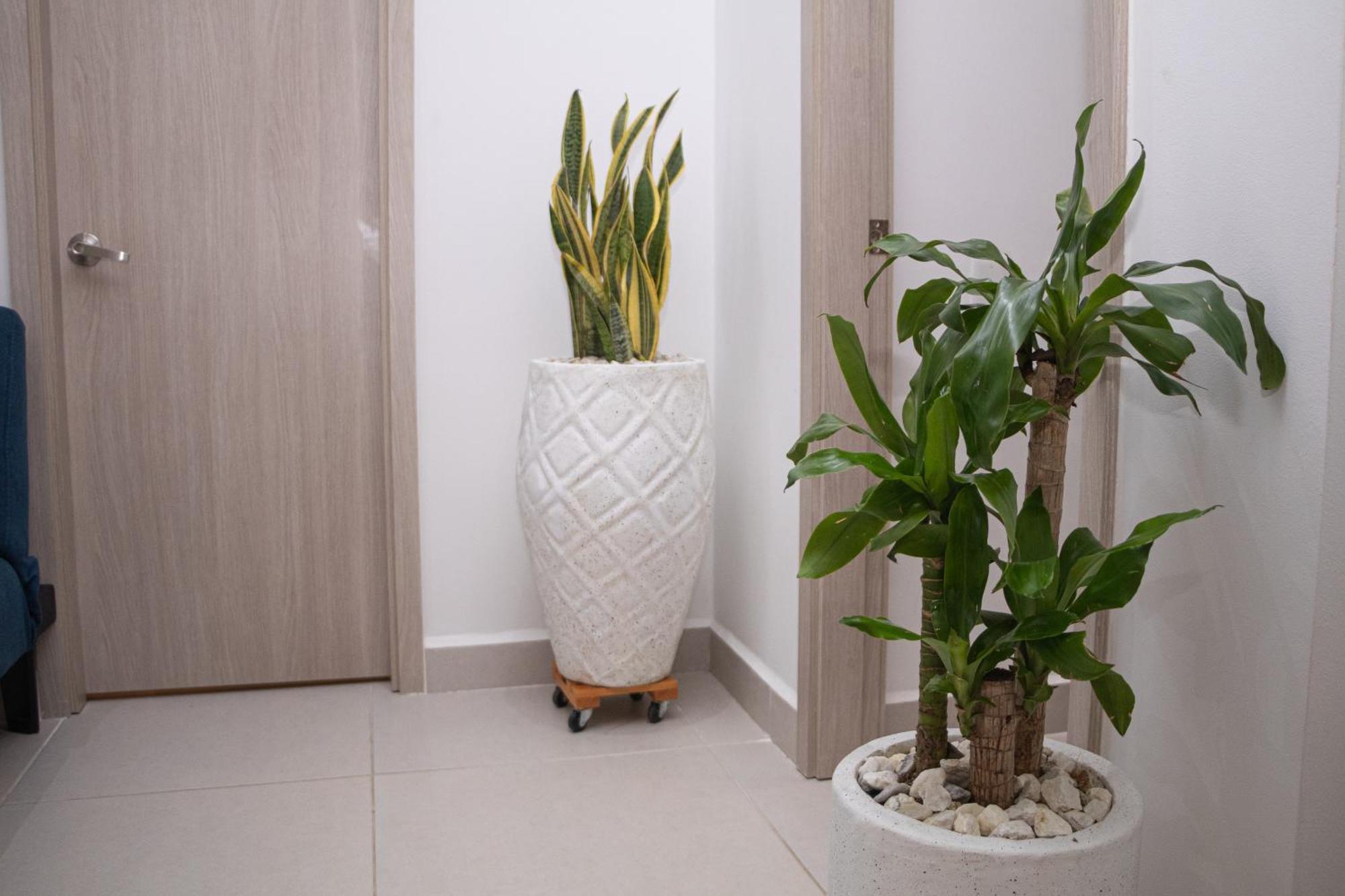 Apartamento De Lujo Frente Al Mar Con Piscina Cartagena Luaran gambar